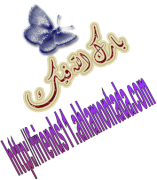 الاعتداء الصهيونى على (اسطول الحرية) 441823